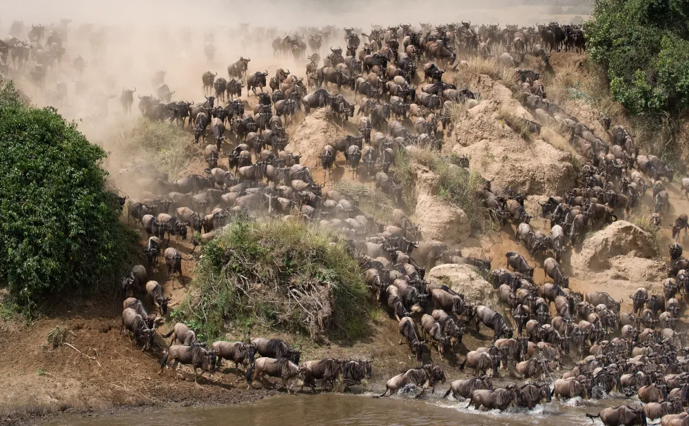 6-Day Tanzania Great Wildebeest Migration Safari Adventure