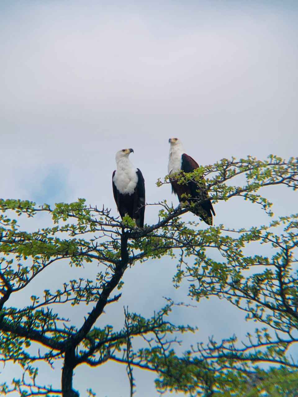 Tanzania’s Lesser Known Wildlife Destinations