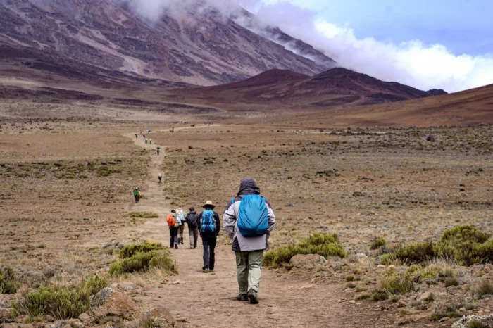 6 Day Mount Kilimanjaro Trekking-Marangu Route Adventure