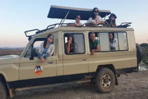 Comfortable Safari Vehicle
