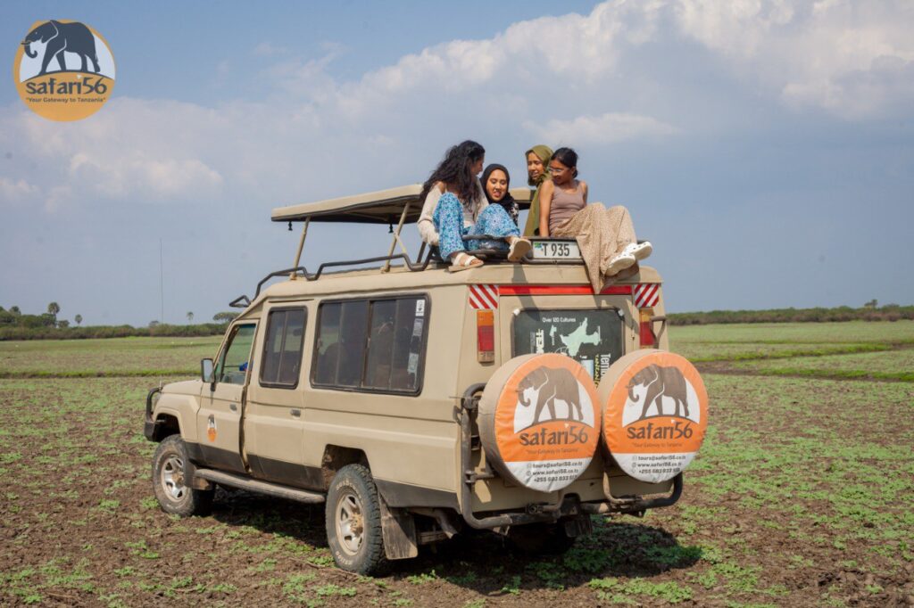 Comfortable 4x4 safari vehicle