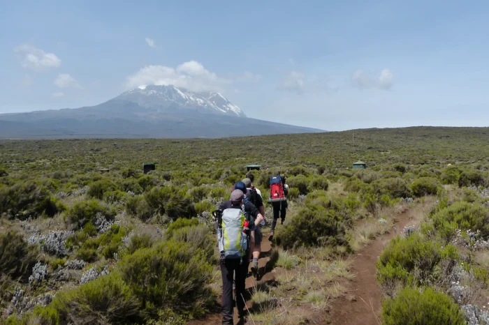 8 Day Mount Kilimanjaro Trekking Lemosho Route Adventure