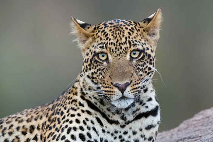 8 Day Adventure Safari in Serengeti and Ngorongoro Crater