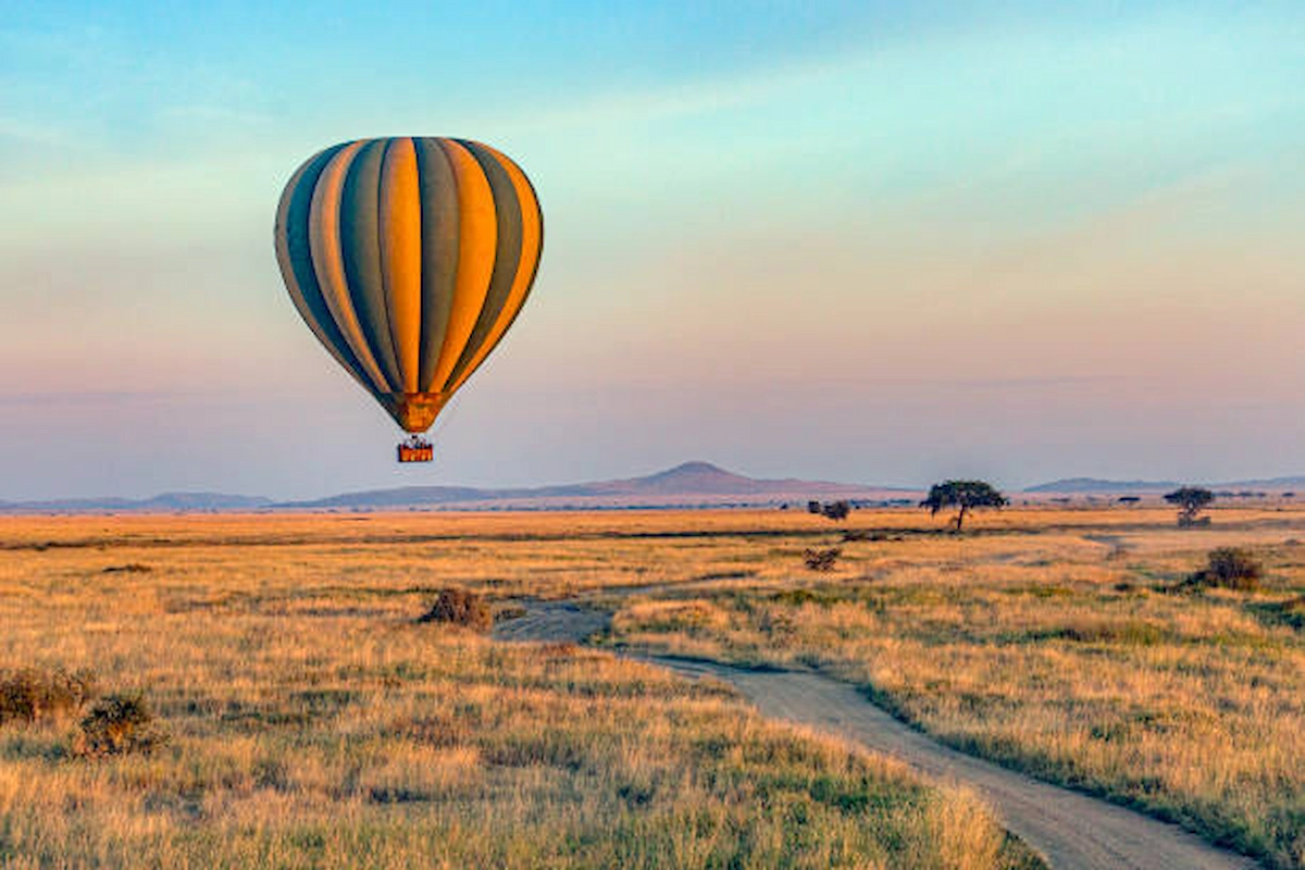 istockphoto-1571867148-612x612