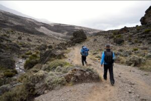 Mount Kilimanjaro 6-Day Marangu Route Scenic Tanzania Trek