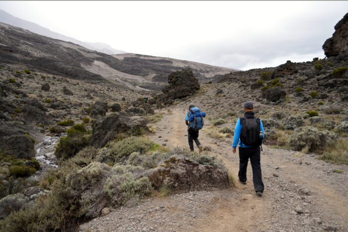 7 Day Kilimanjaro Trek via Machame Route