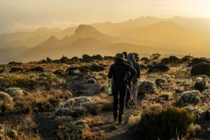 Mount Kilimanjaro 6-Day Marangu Route Scenic Tanzania Trek