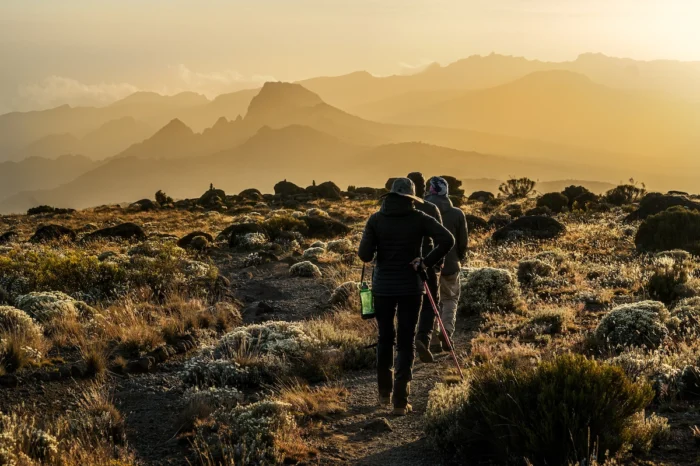 7 Day Mount Kilimanjaro Rongai Trekking Route Adventure