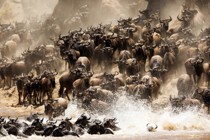 4 Day Serengeti Wildebeest Migration and Ngorongoro Safari