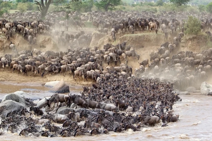 6 Day Serengeti Wildebeest Migration and Ngorongoro Safari