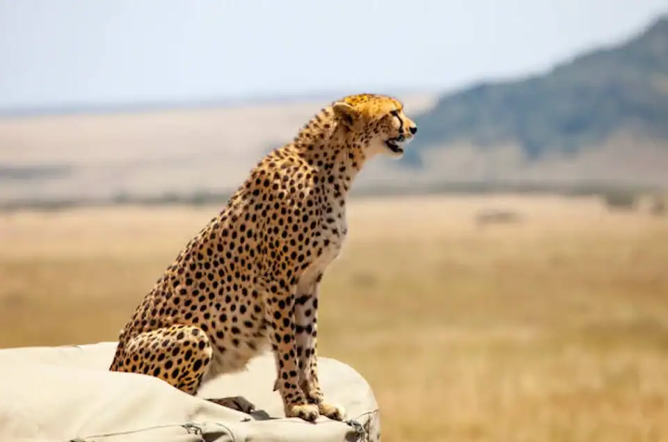 Discover Tanzania’s World Heritage Sites