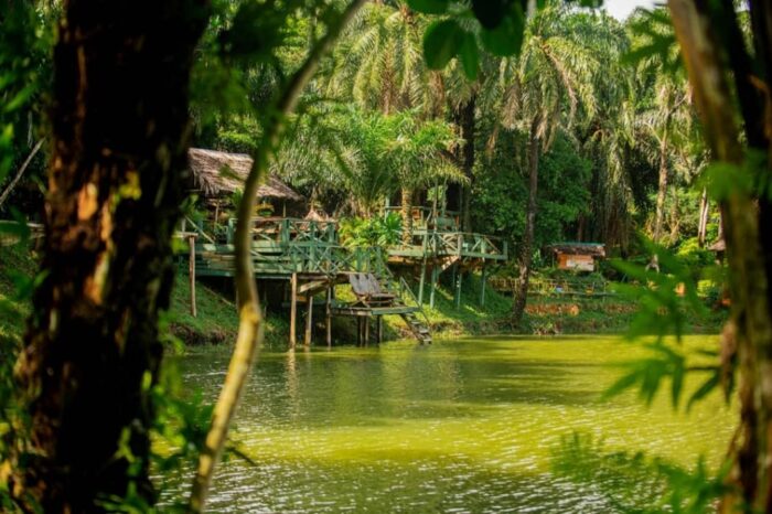 Unforgettable 2 Day Magoroto Forest Estate Tour Adventure