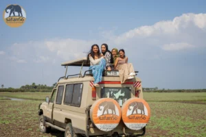 Southern Tanzania Safari Ruaha & Nyerere Wildlife Journey