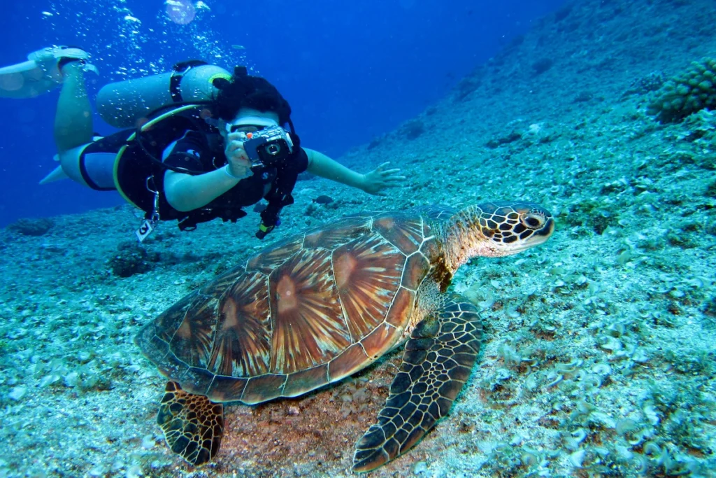 10-Day Best of Tanzania Safari & Zanzibar Beach