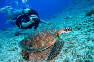 10-Day Best of Tanzania Safari & Zanzibar Beach