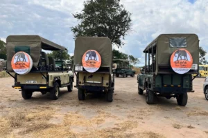 Comfortable Safari Vehicles
