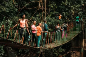 Udzungwa Mountains & Sanje Waterfalls