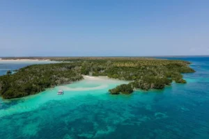 Kilwa Historical Ruins – 2 Days