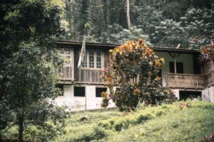 Amani Nature Reserve – 2 Days