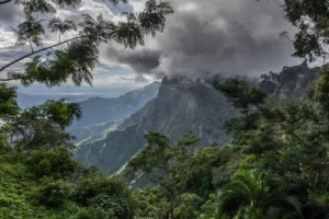 Amani Nature Reserve - 2 Days Scenic Hikes in Tanzania