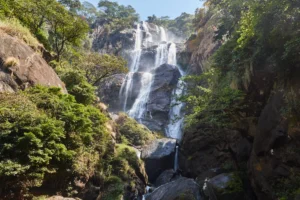 Udzungwa Mountain and Sanje Waterfalls
