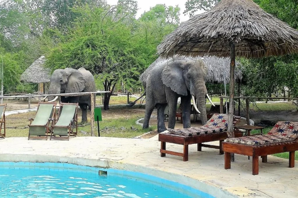 Africa Safari Selous Lodge