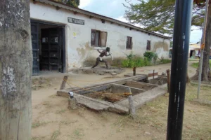 Bagamoyo Day Trip Discover Tanzania’s History & Culture