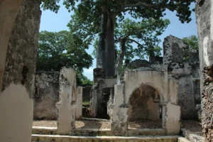 Kilwa Historical Ruins – 2 Days