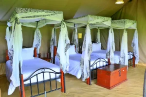Tanzania Bush Camp - Mara River Camp